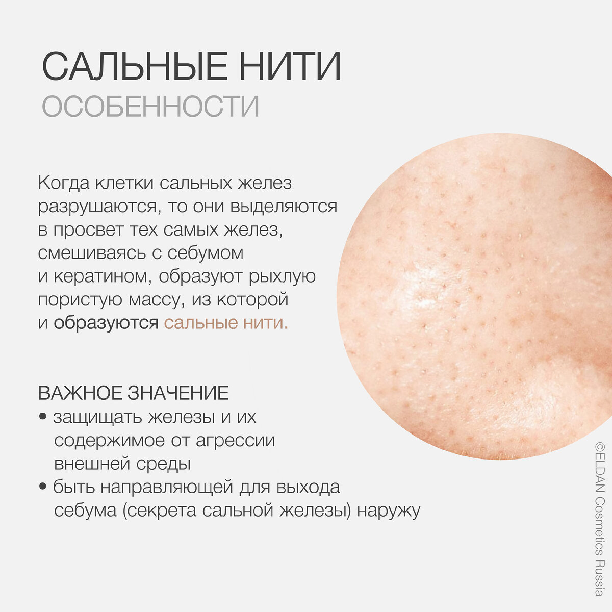 Блог