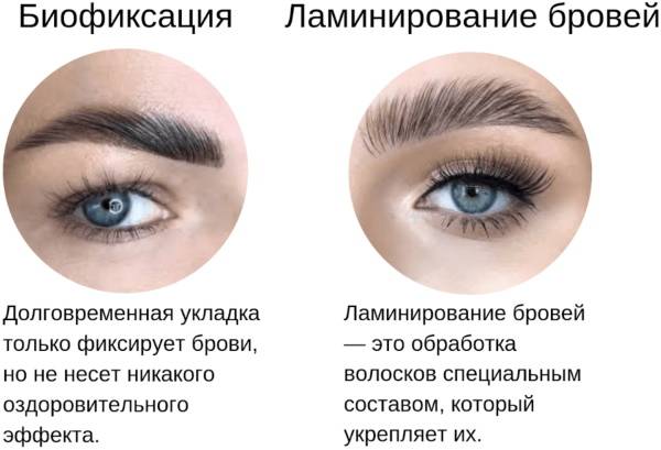 Уход за бровями – как отрастить и ухаживать за окрашенными бровями