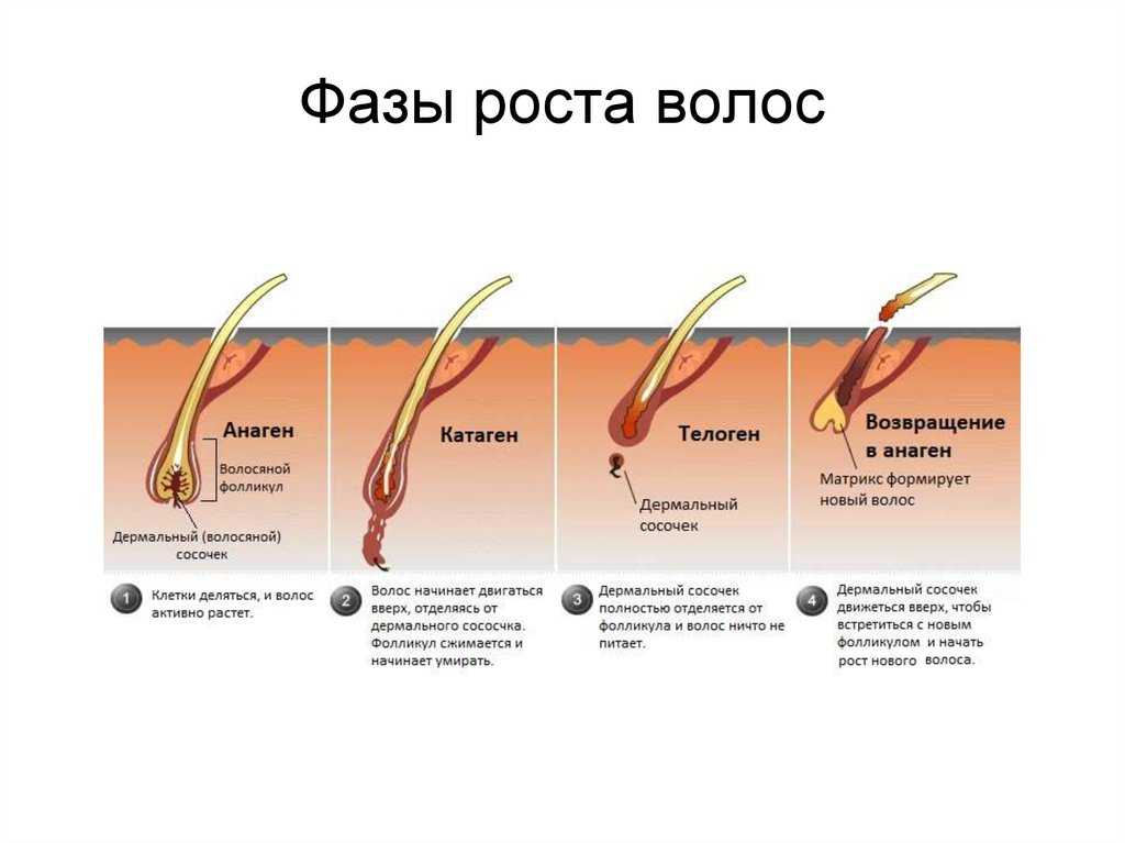 Ночью волосы растут быстрей