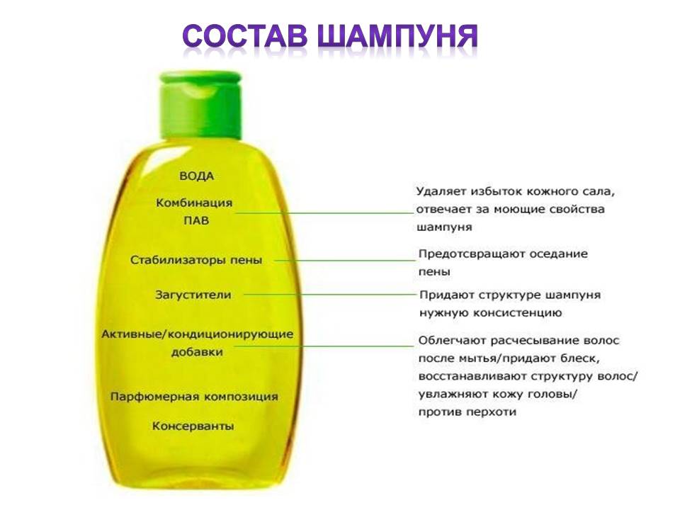 Как правильно подобрать шампунь для волос любого типа