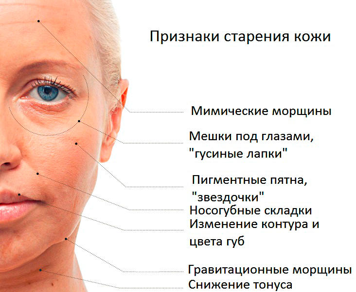 Как скорость старения зависит от формы лица - живи!