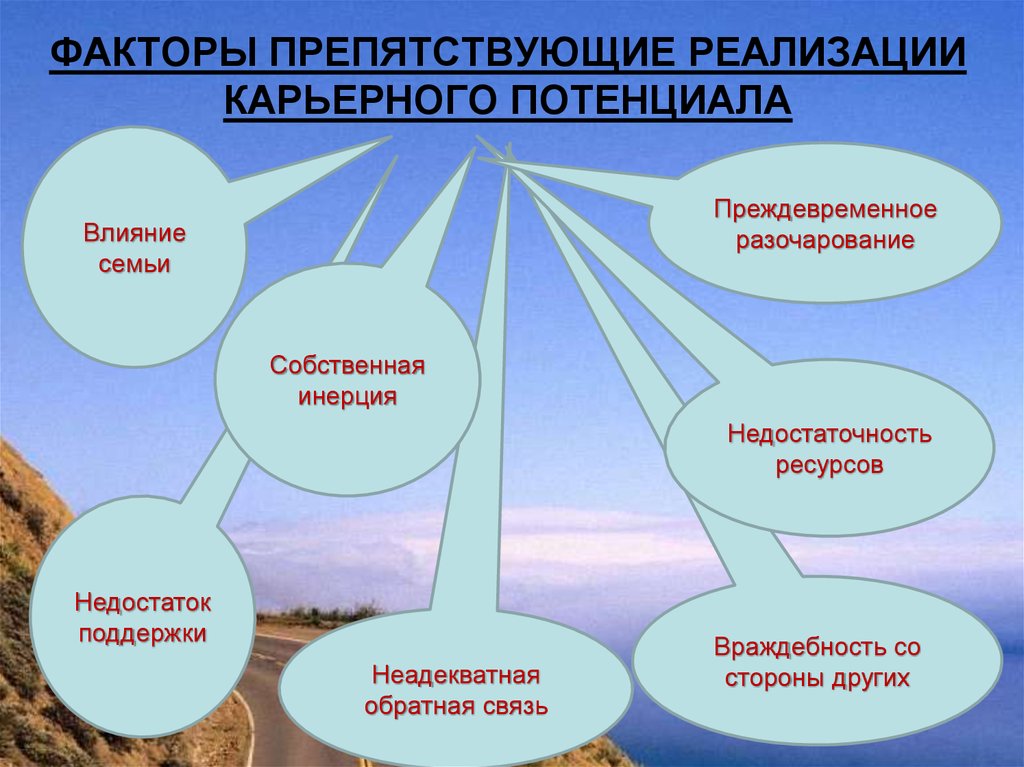 Детерминанты профессиональной самореализации - готовый реферат