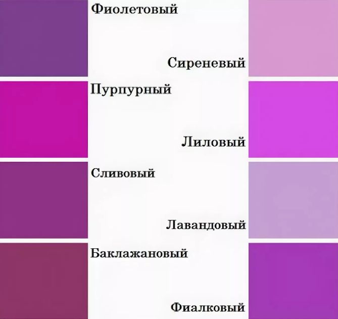 Почему так много бабушек с фиолетовыми волосами. зачем бабушки красят волосы в фиолетовый цвет