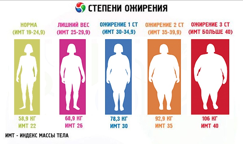 Узнай свой индекс массы тела