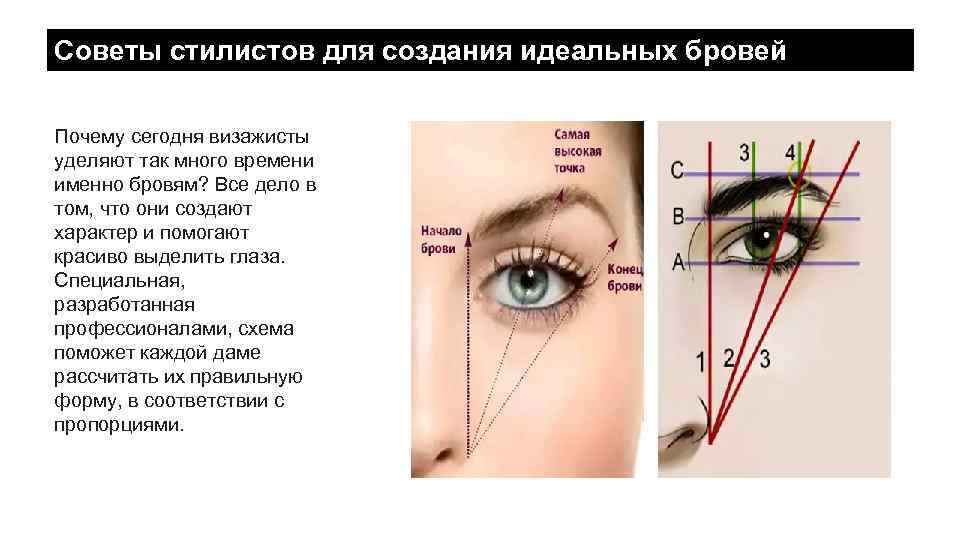 Как сделать брови надолго: татуаж, микроблейдинг, наращивание, пудровые брови — что лучше?