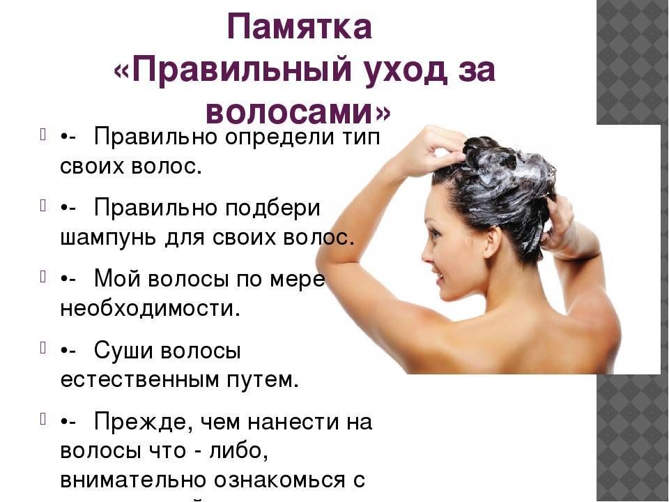 Как правильно мыть голову. краткая инструкция