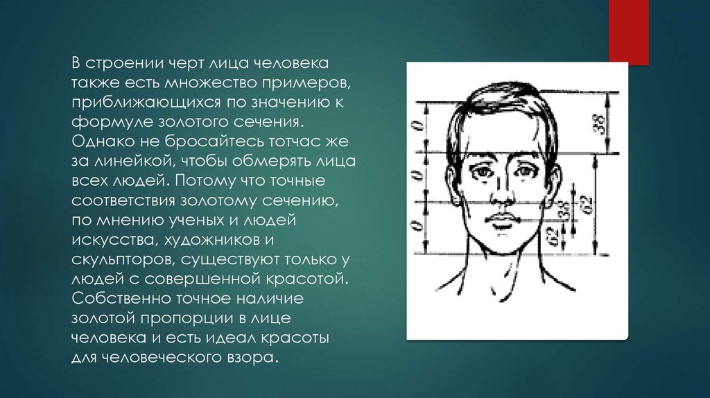 Формы лица и как определить свой тип