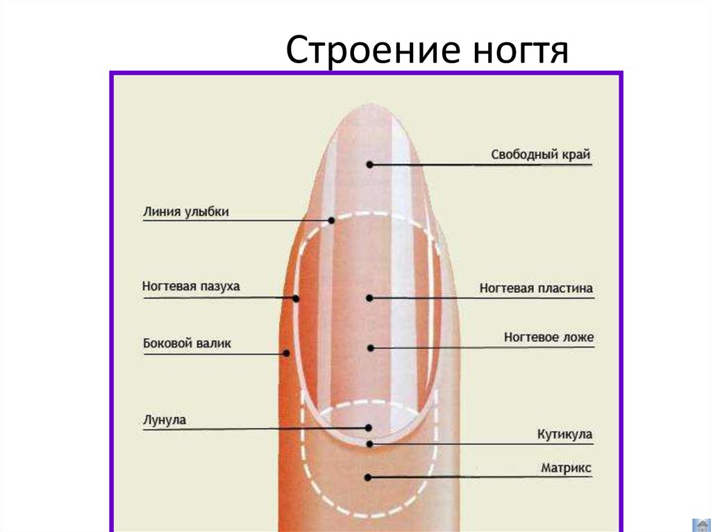 Вот на какие нюансы надо обращать внимание, когда речь идет о здоровье ногтей