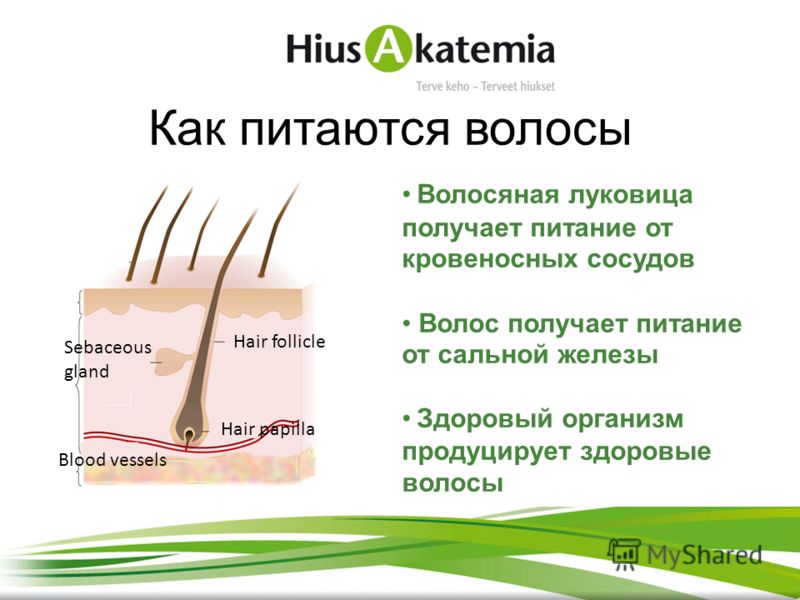 Скорость роста волос: с какой скоростью растут волосы на голове, на сколько см в день, месяц и год, средние значения для мужчин и женщин