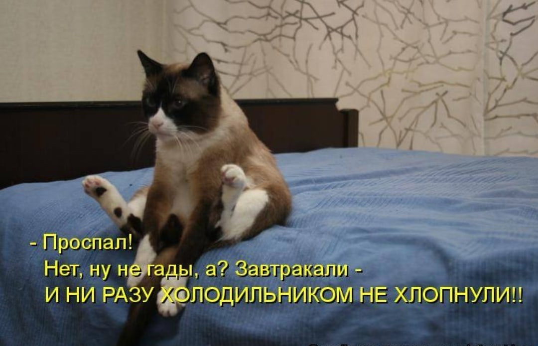 Чистые волосы. как сохранить волосы чистыми? что делать, чтобы волосы дольше оставались чистыми?