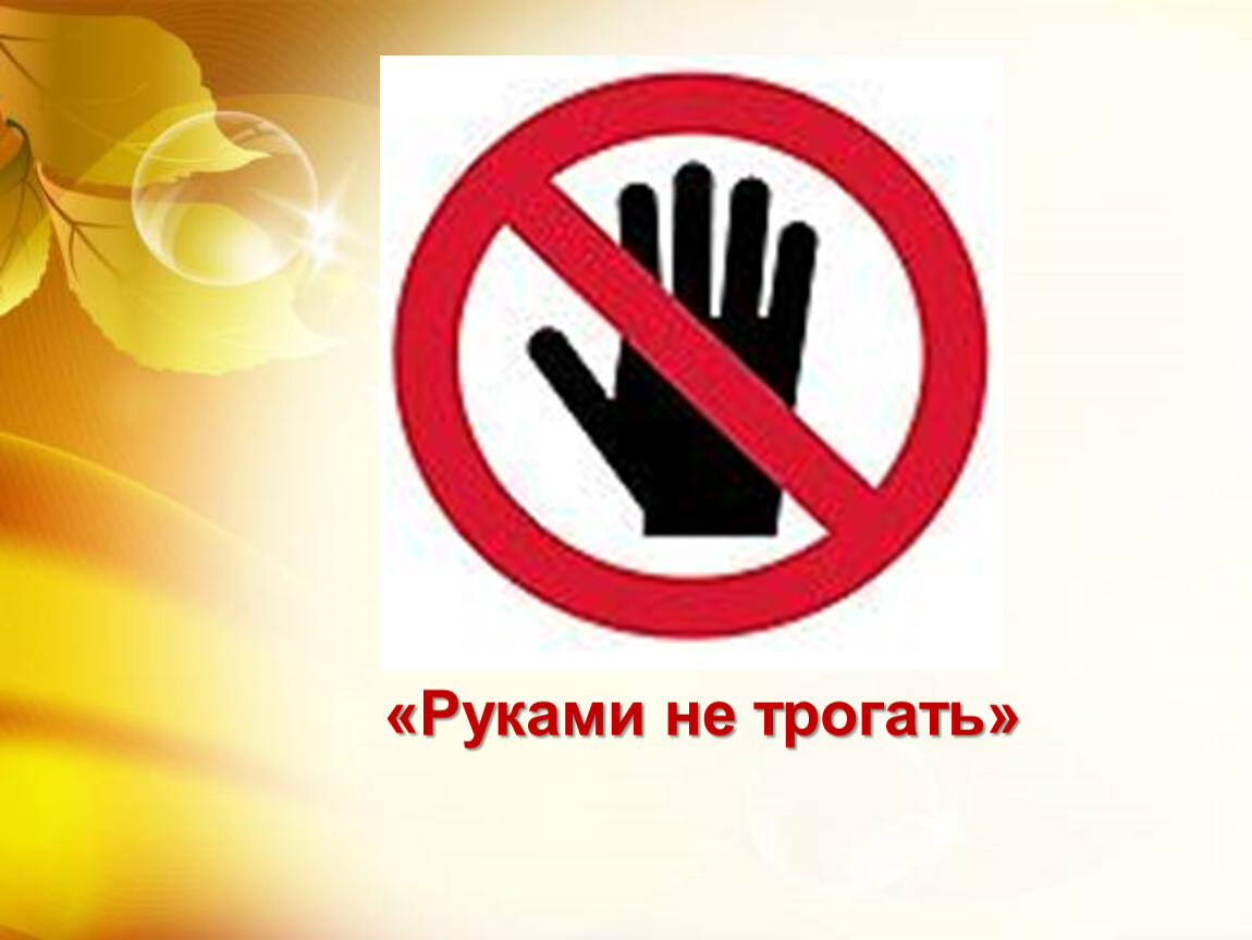 5 советов, чтобы волосы оставались чистыми дольше