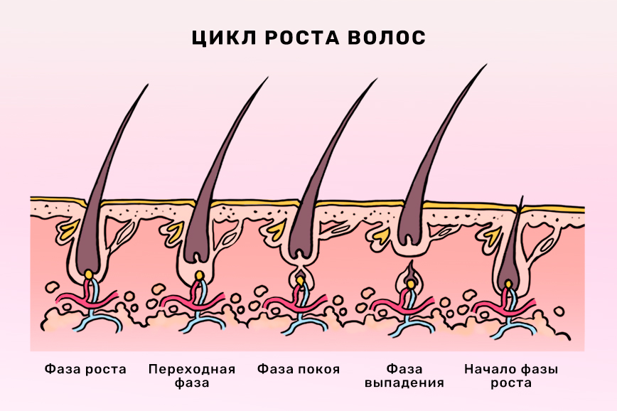 Правильно моем волосы: пошаговый чек-лист для здоровья волос