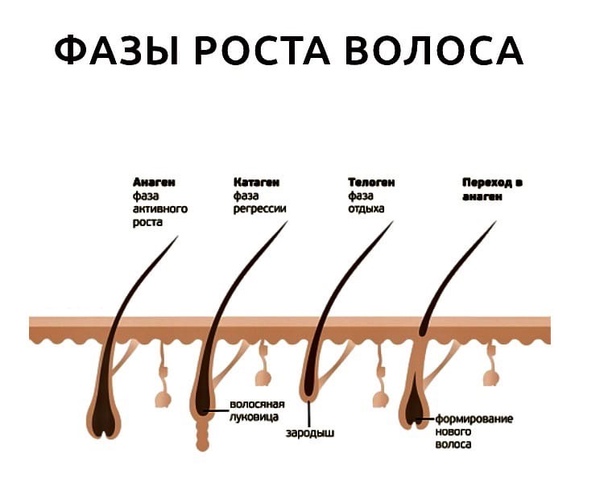 Выпадение волос: причины, виды, лечение | блог ihc clinic