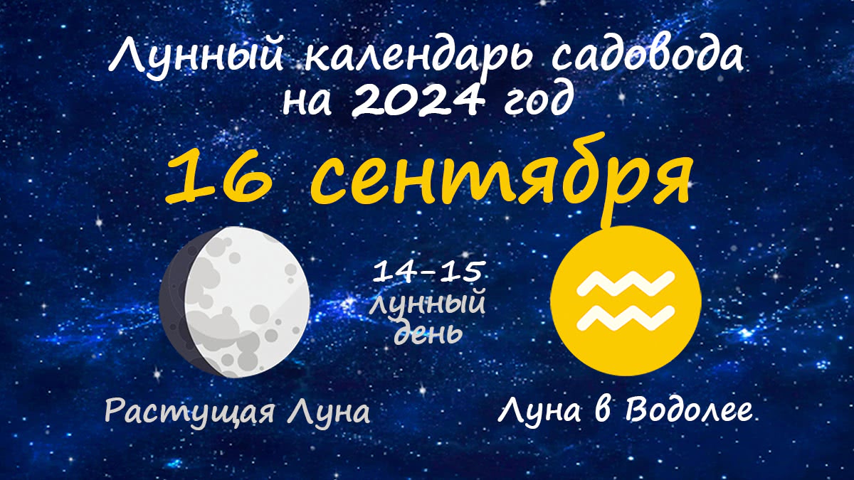 Лунный календарь стрижки волос по дням на сентябрь 2023 :: инфониак