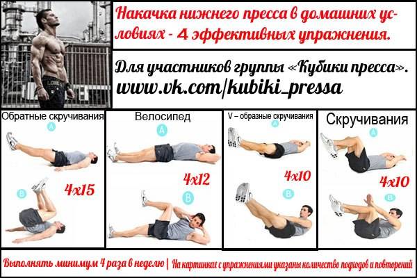 Лучшие упражнения на пресс — результаты научного исследования
