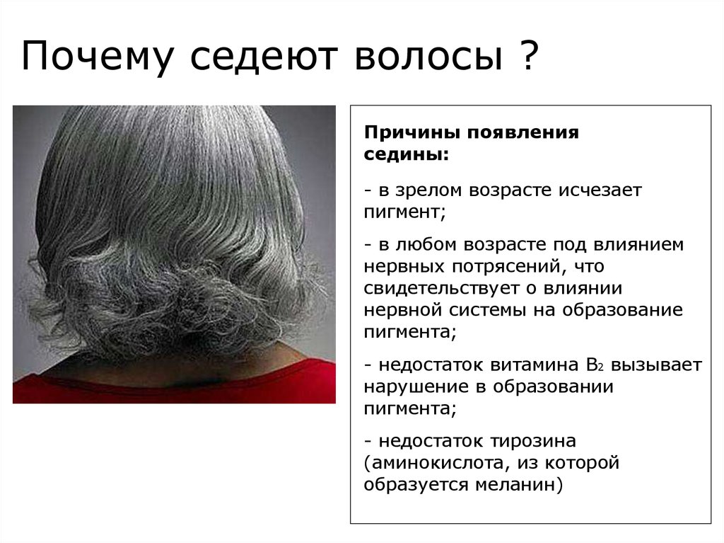 Почему возникает ранняя седина и что делать - горящая изба
