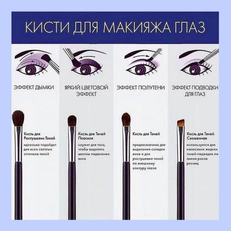 Кисти для макияжа какая для чего нужна c фото - 2womans.ru