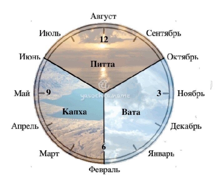 Не опьянеть от алкоголя: что можно заранее выпить или съесть перед застольем на корпоративе, чтобы подготовиться к употреблению большого количества водки