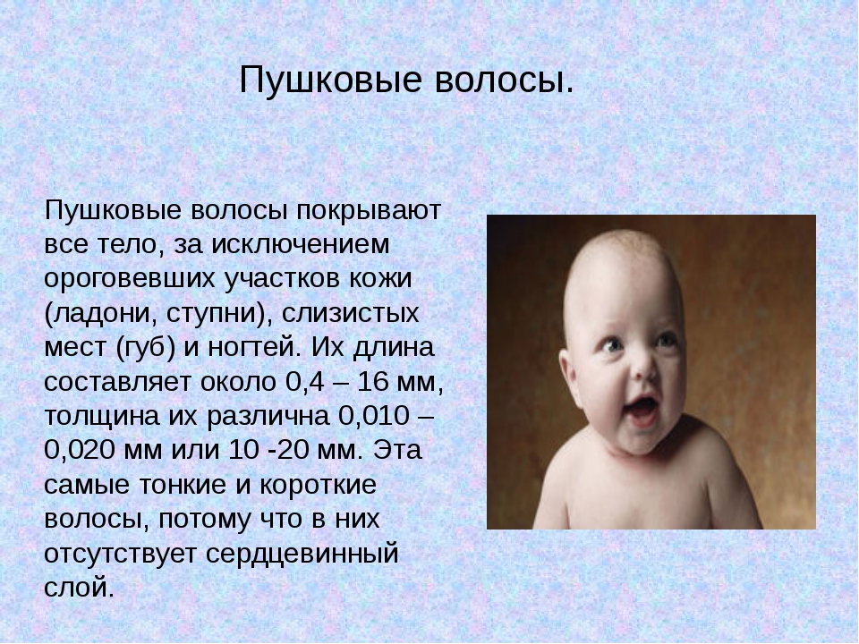 Группы и типы волос