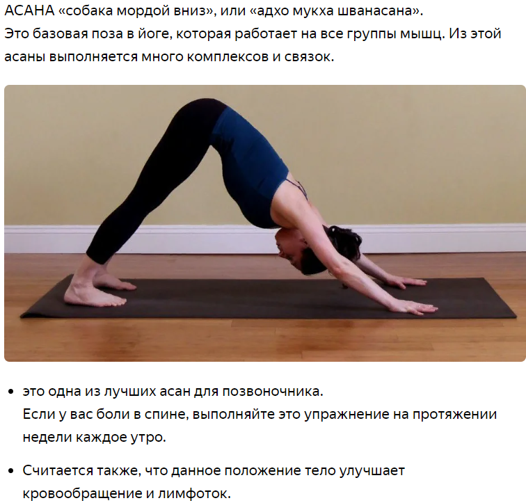 Выполнение сарвангасаны как способ омоложения всего организма | medisra.ru
