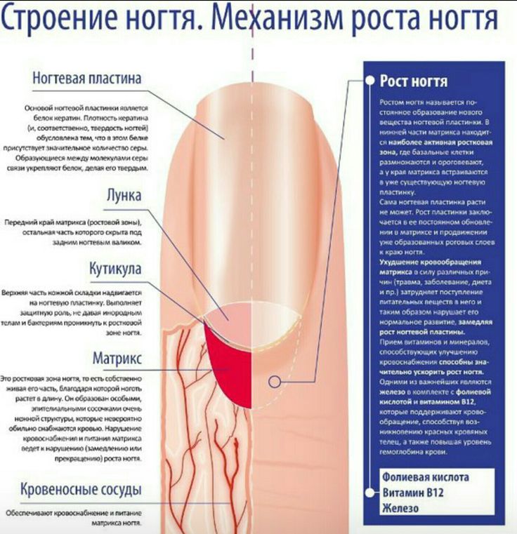 Зожник |   вред маникюра: оставьте кутикулы в покое, а ногтям дайте отдохнуть