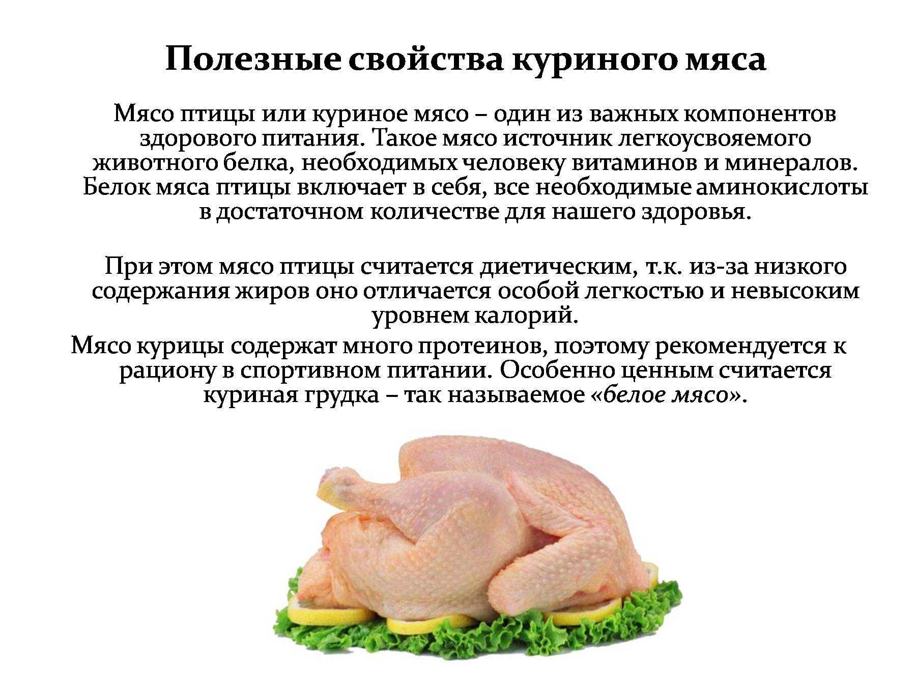 Химический состав куриной грудки. сколько белка в куриной грудке?