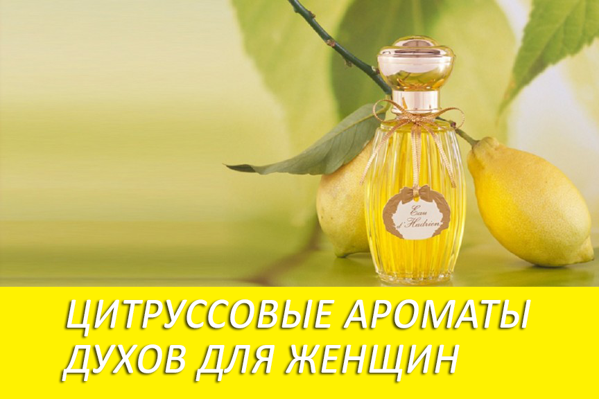 Лимон, грейпфрут, мандарин и цитрон: самые красивые цитрусовые ароматы для женщин и мужчин
