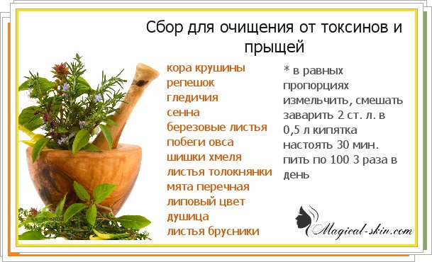 Обойдемся без прыщиков. уход за лицом чтобы не было прыщей