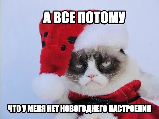 Скоро новый год а настроения нет статусы. статусы о настроении
