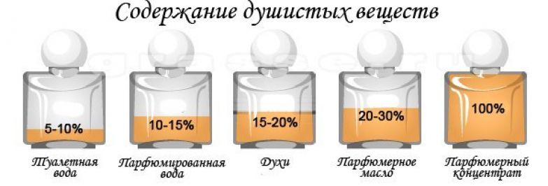Вот почему ваши дорогие духи выветриваются уже через 15 минут