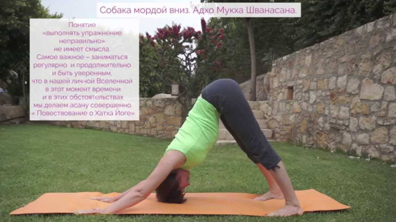 Упражнение планка — как делать правильно? 4 лучших вариации планки