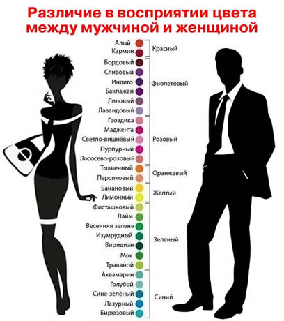 Запах человека притяжение психология. сексуальность, запах и феромоны.