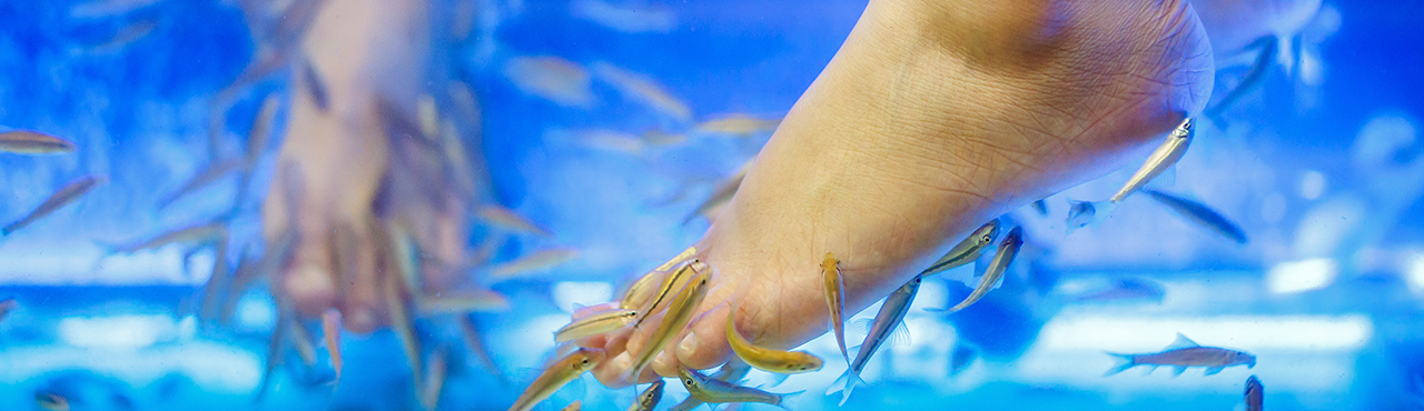 Рыбки🐟 гарра руфа польза и вред, 8 свойств для здоровья кожи