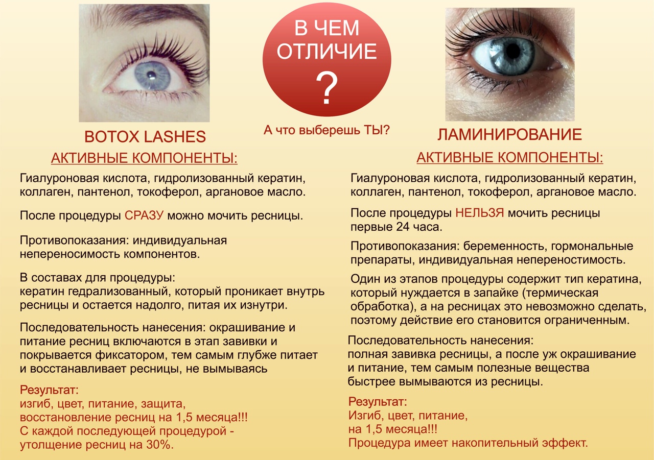 Ламинирование и ботокс ресниц – в чем разница процедур, можно ли делать их одновременно 2024