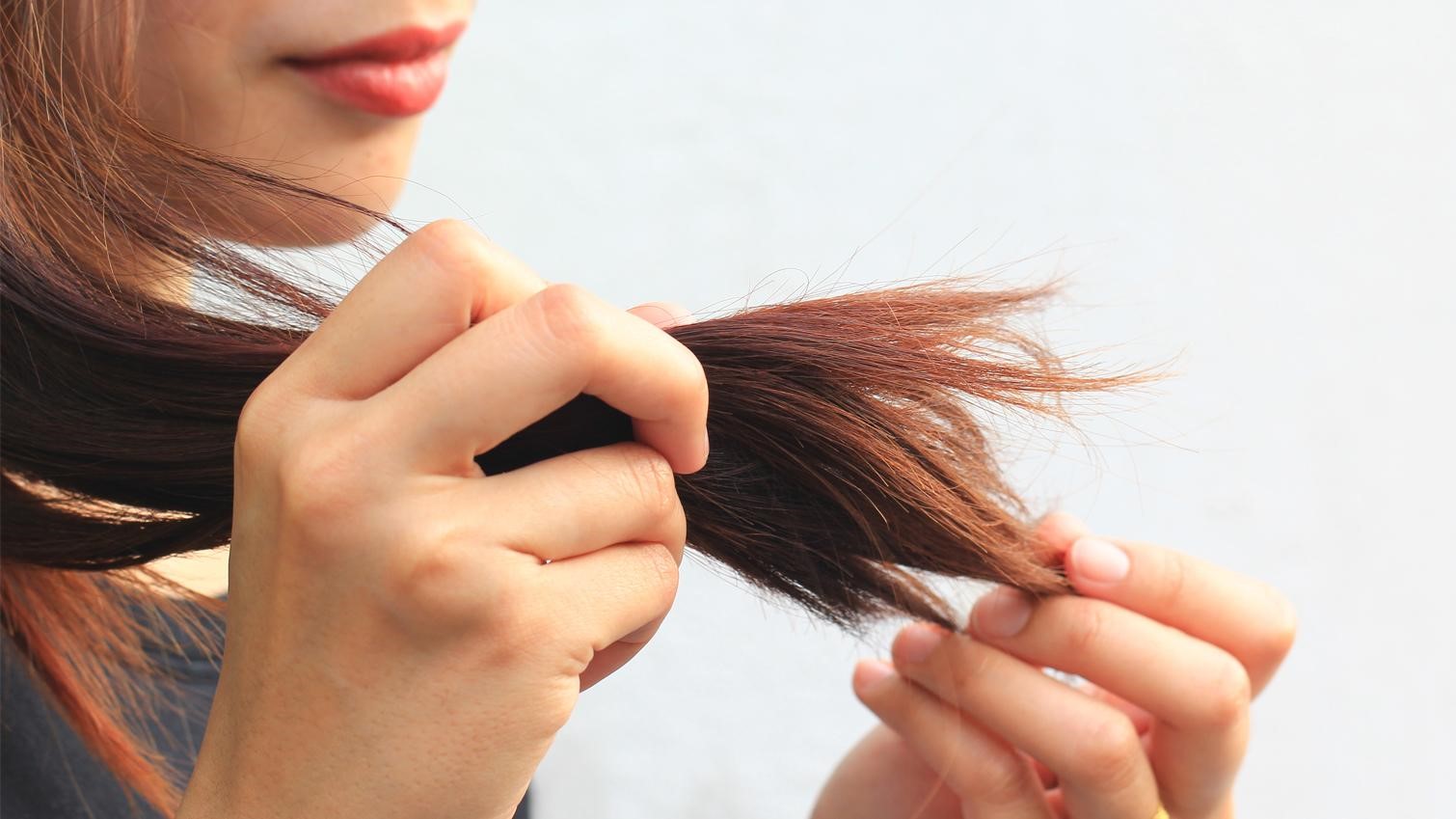 14 правил предотвращения посеченных волос и их кончиков | bellehair.info