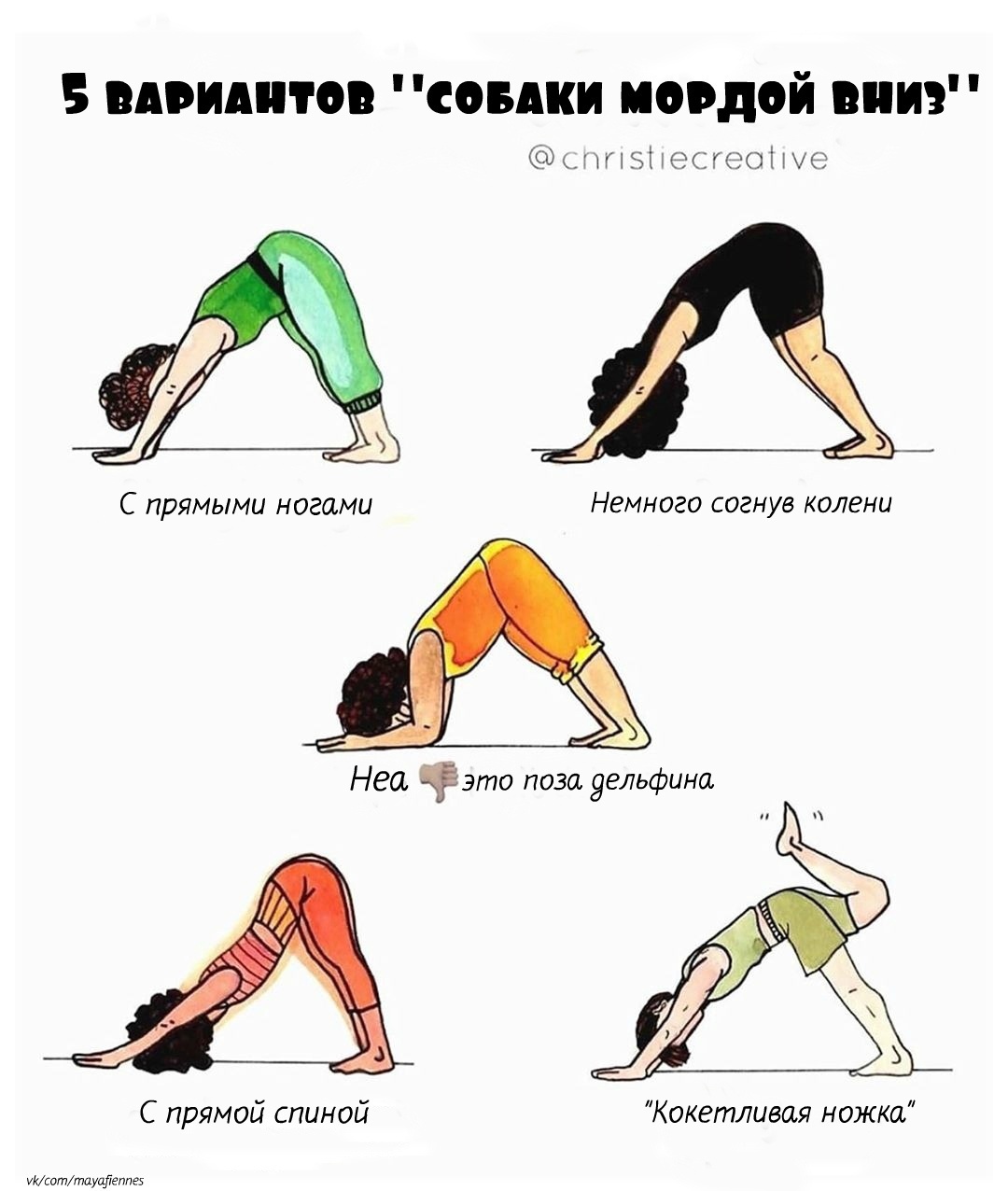 Пилатес: что это такое, польза и упражнения для начинающих | hitfitness