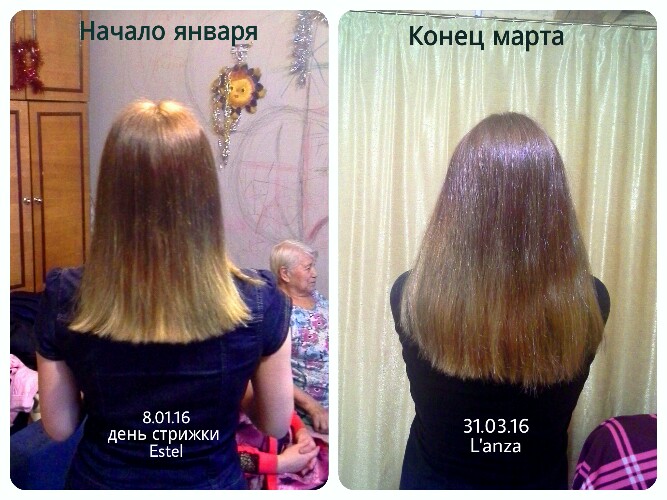 За сколько отрастут волосы с короткой стрижки до каре