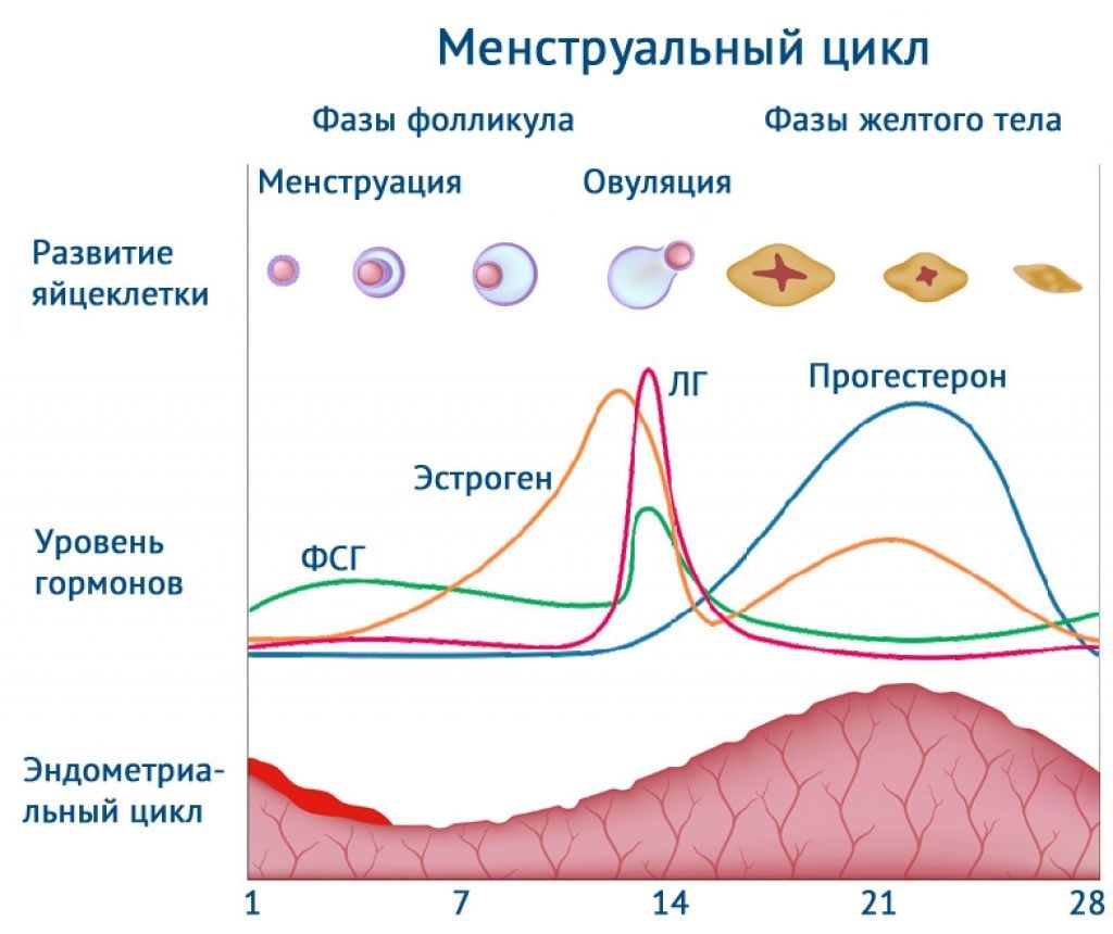 Макияж к 8 марта: как выглядеть свежо и романтично? - dolio.rudolio.ru