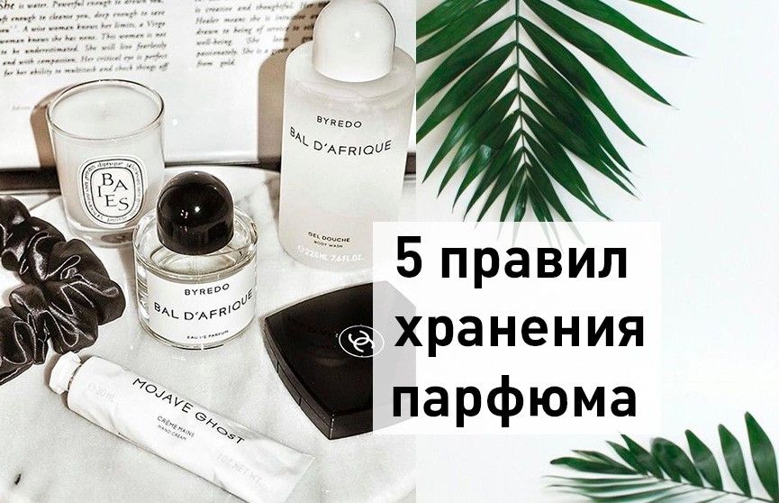 Азбука ароматов: как парфюм завершает образ - отношения - info.sibnet.ru