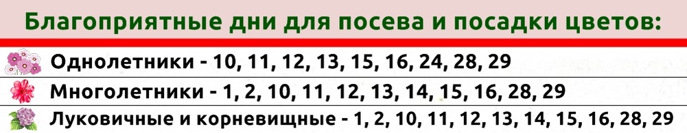 Стрижка волос по лунному календарю: благоприятные дни в 2024 году