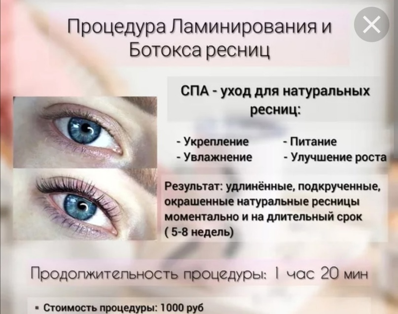Ботокс ресниц: плюсы и минусы | плюсы и минусы