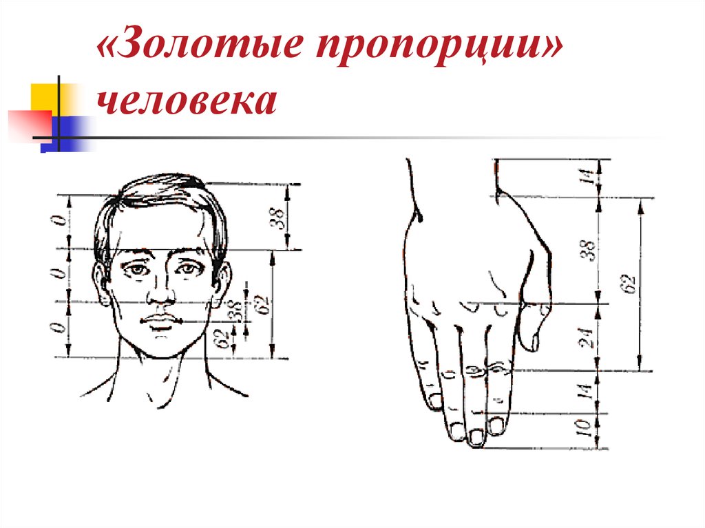 Как определить свою форму лица: способы